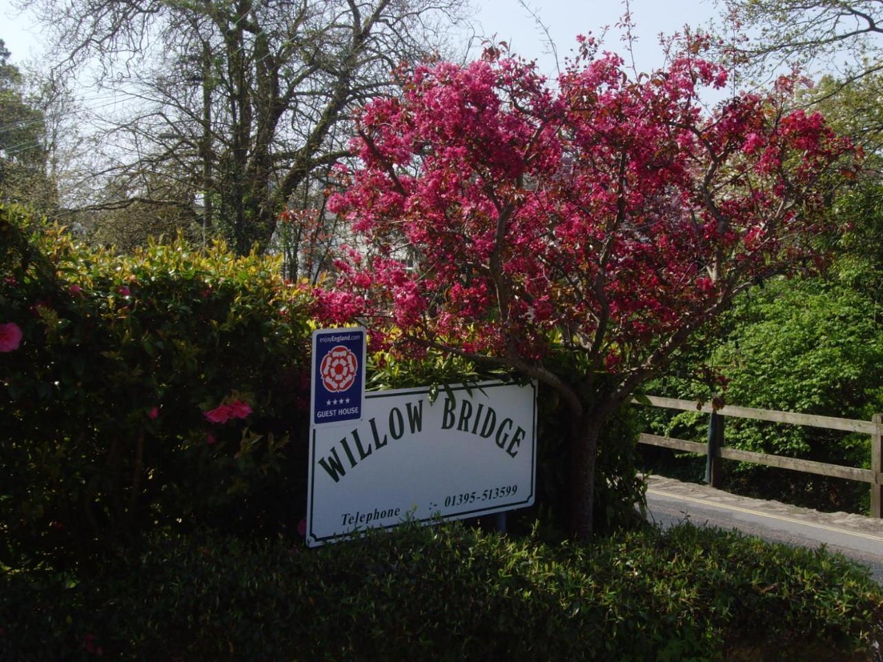 Willow Bridge Hotel Sidmouth Buitenkant foto